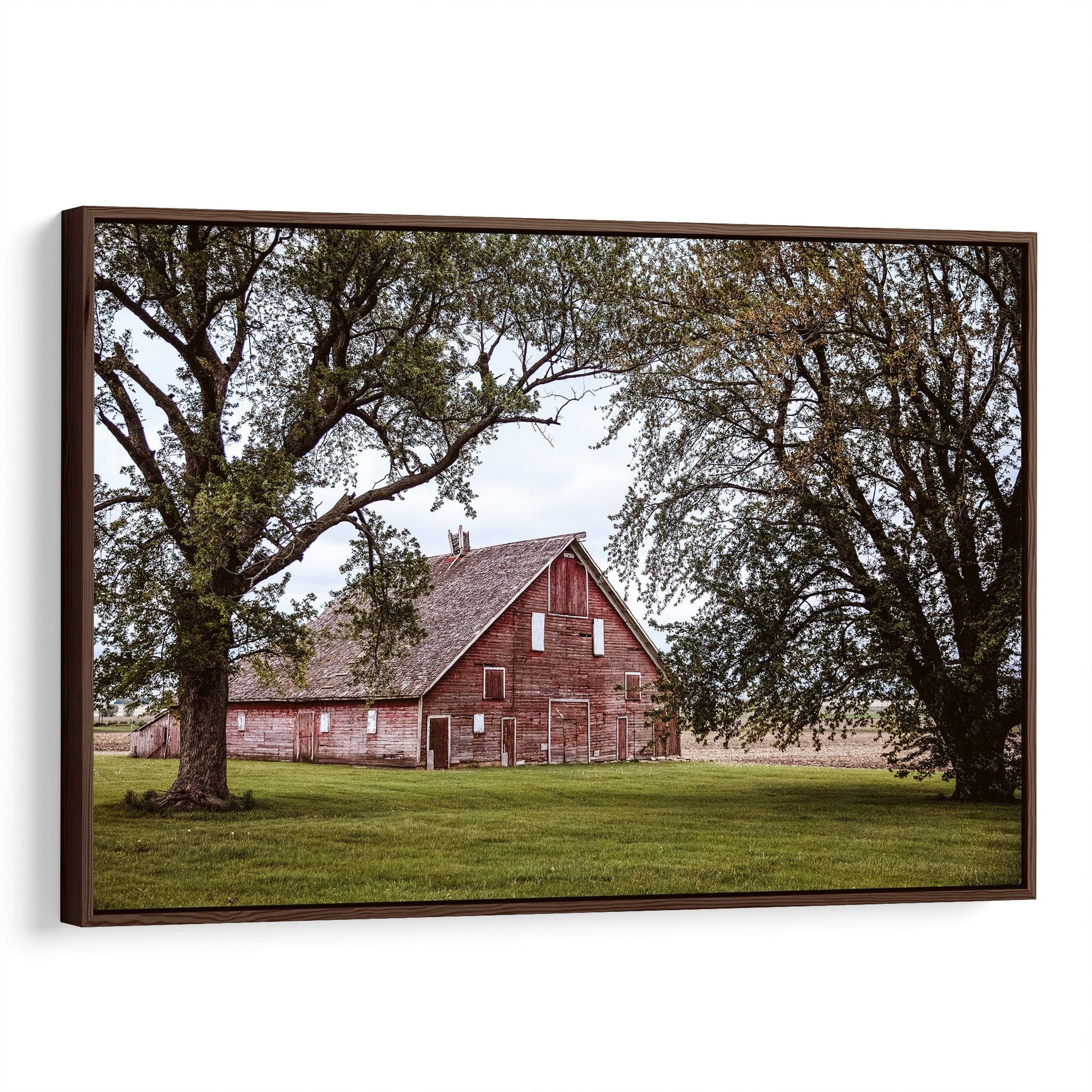 Red Barn in the Trees Canvas-Walnut Frame / 12 x 18 Inches Wall Art Teri James Photography