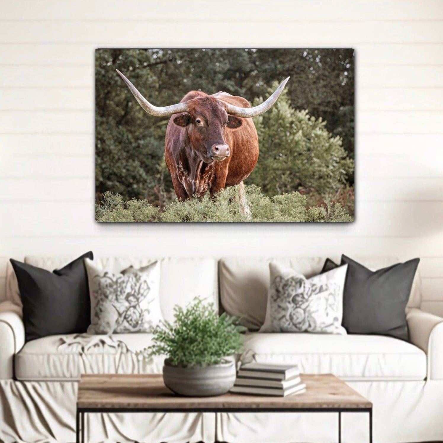 Red Texas Longhorn Canvas Print Wall Art Teri James Photography