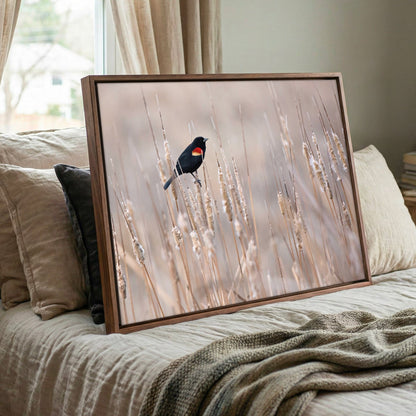 Red-Winged Blackbird Art – Wild Bird Wall Art on Cattails | Farmhouse Decor Print Wall Art Teri James Photography
