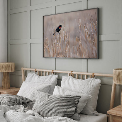 Red-Winged Blackbird on Cattails Wall Art Teri James Photography