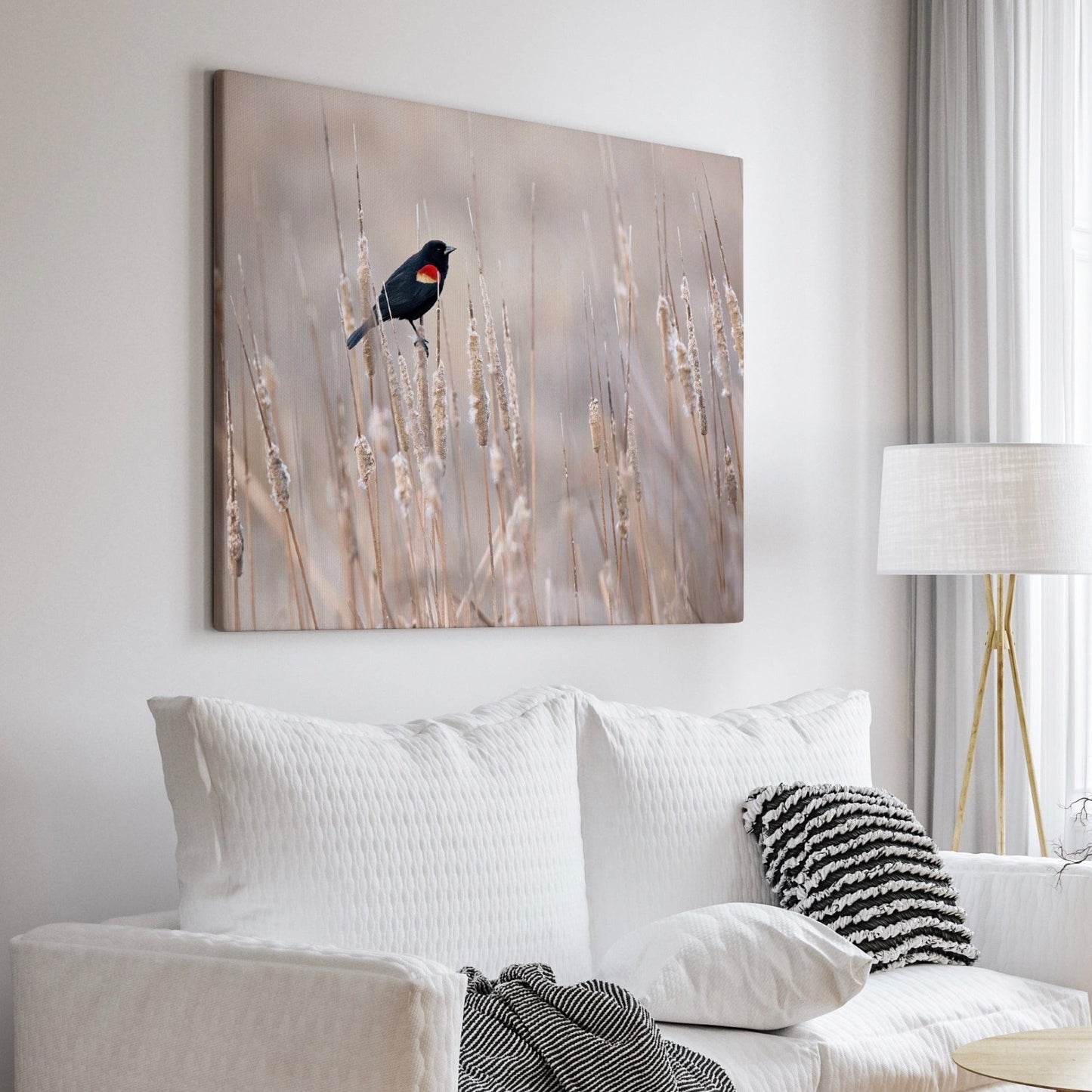 Red-Winged Blackbird on Cattails Wall Art Teri James Photography