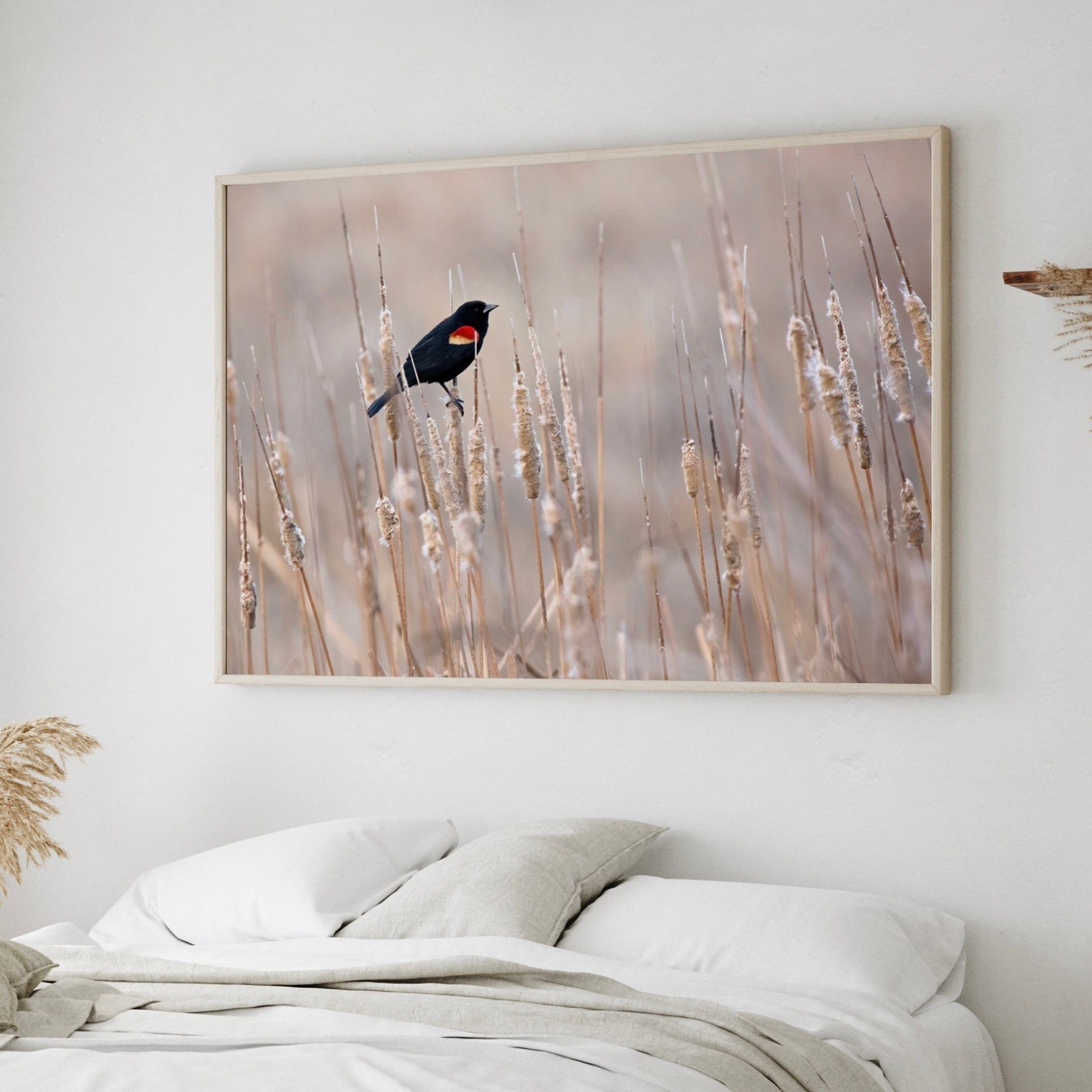 Red-Winged Blackbird on Cattails Wall Art Teri James Photography