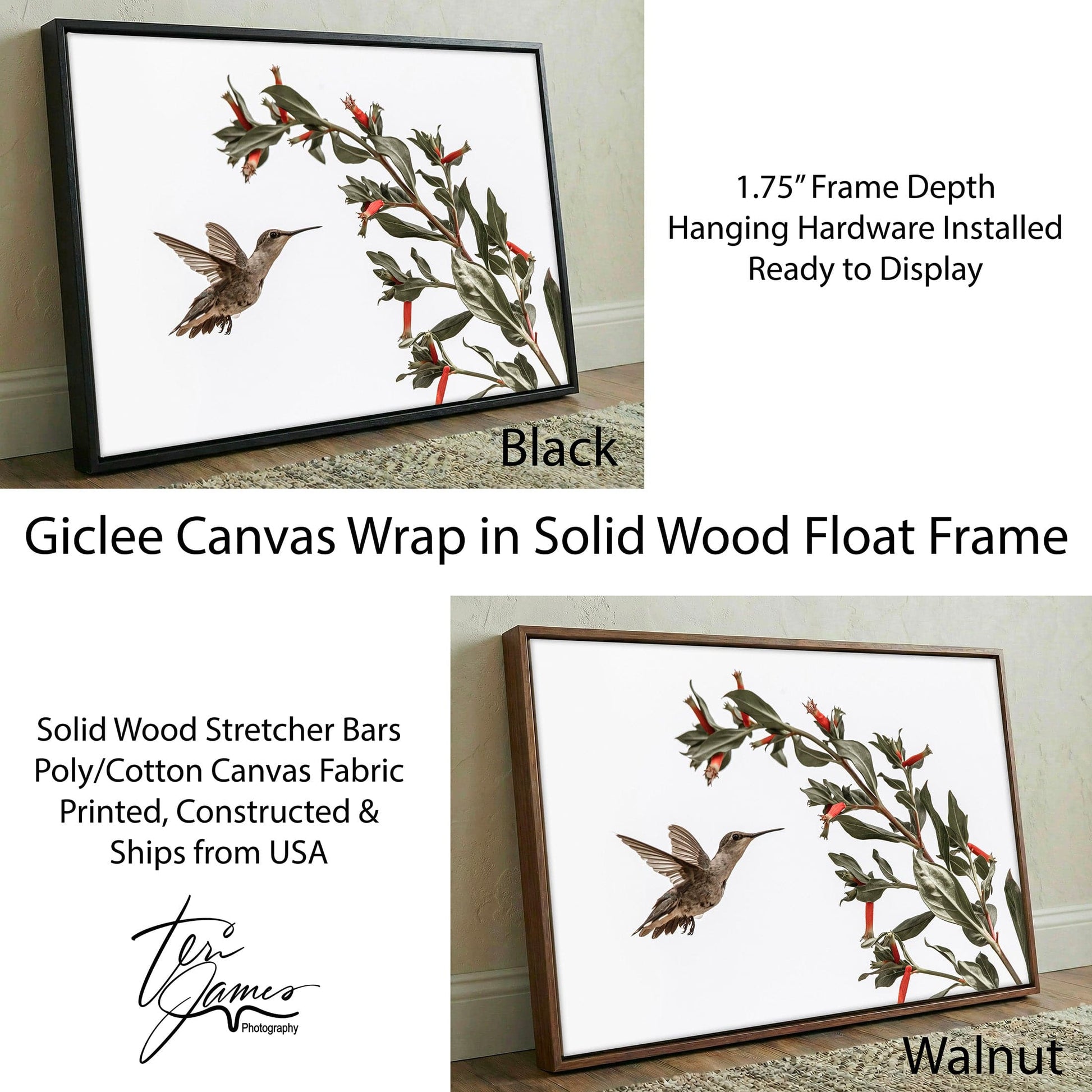 Ruby Throated Hummingbird Art – Framed Wildlife Photo Decor With Red Flower Canvas-Black Frame / 12 x 18 Inches Wall Art Teri James Photography