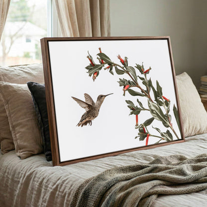 Ruby Throated Hummingbird Art – Framed Wildlife Photo Decor With Red Flower Wall Art Teri James Photography