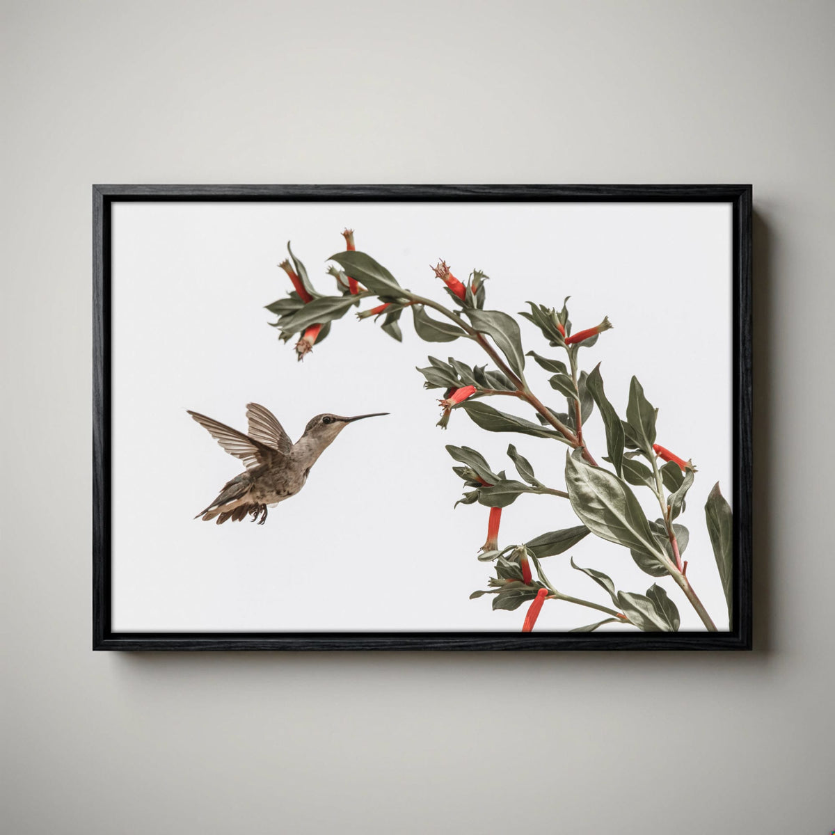 Ruby Throated Hummingbird Art – Wildlife Photo Decor