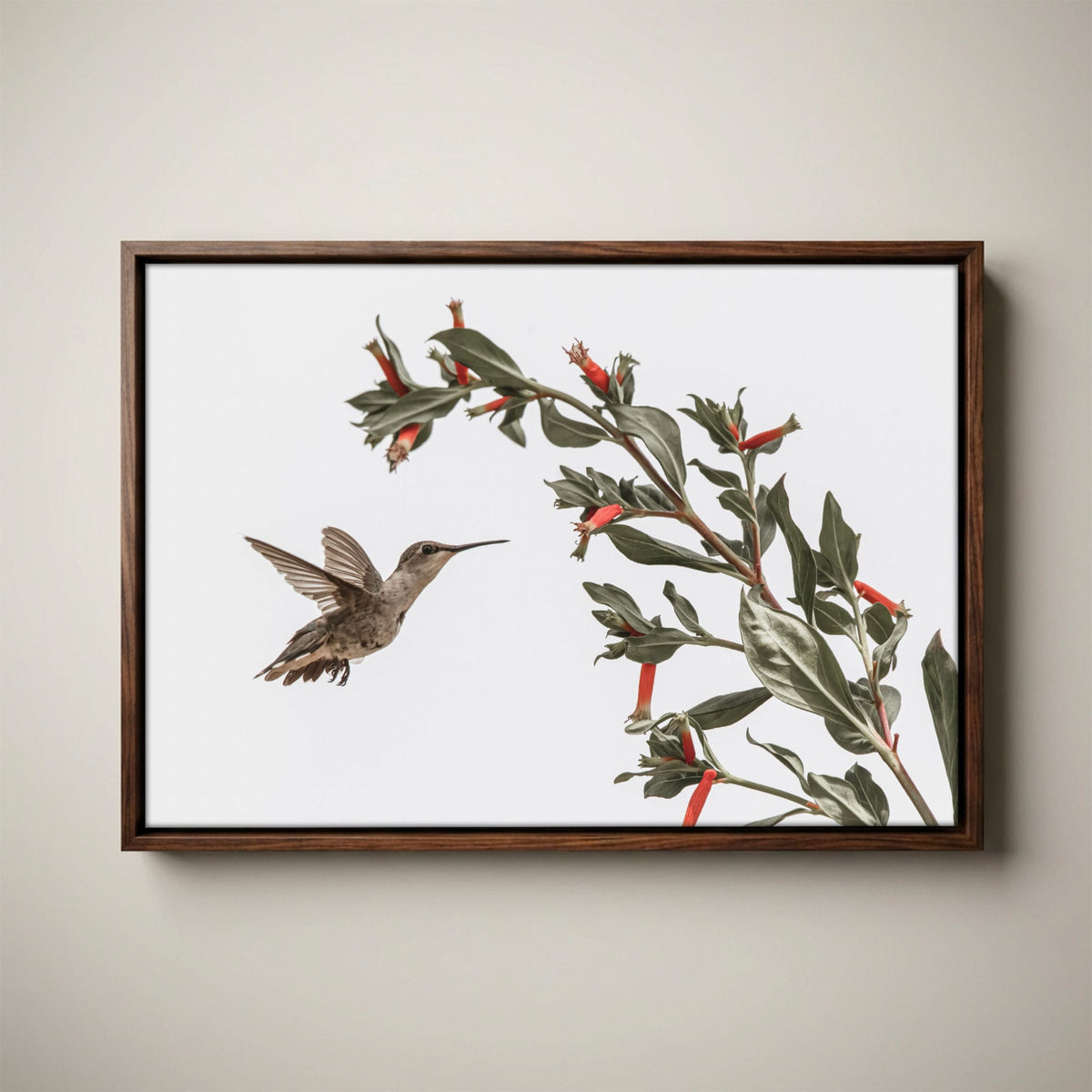 Ruby Throated Hummingbird Art – Wildlife Photo Decor