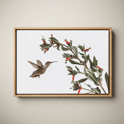 Ruby Throated Hummingbird Art – Wildlife Photo Decor Canvas-Natural Oak Float Frame / 12 x 18 Inches