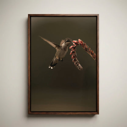 Ruby Throated Hummingbird Artwork