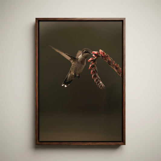 Ruby Throated Hummingbird Artwork