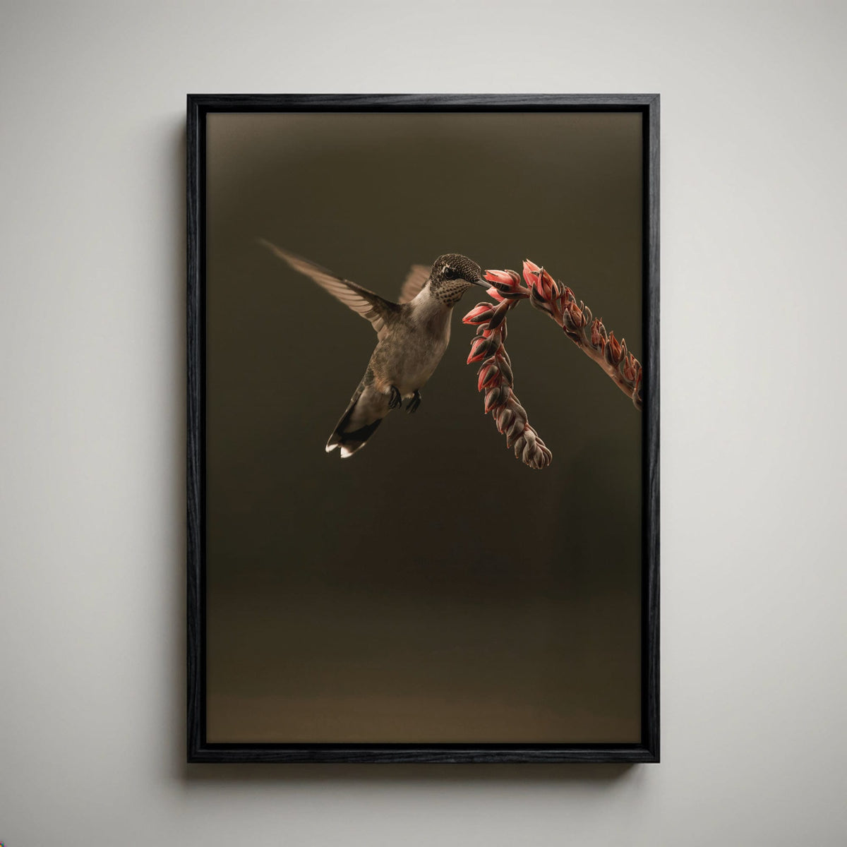 Ruby Throated Hummingbird Artwork