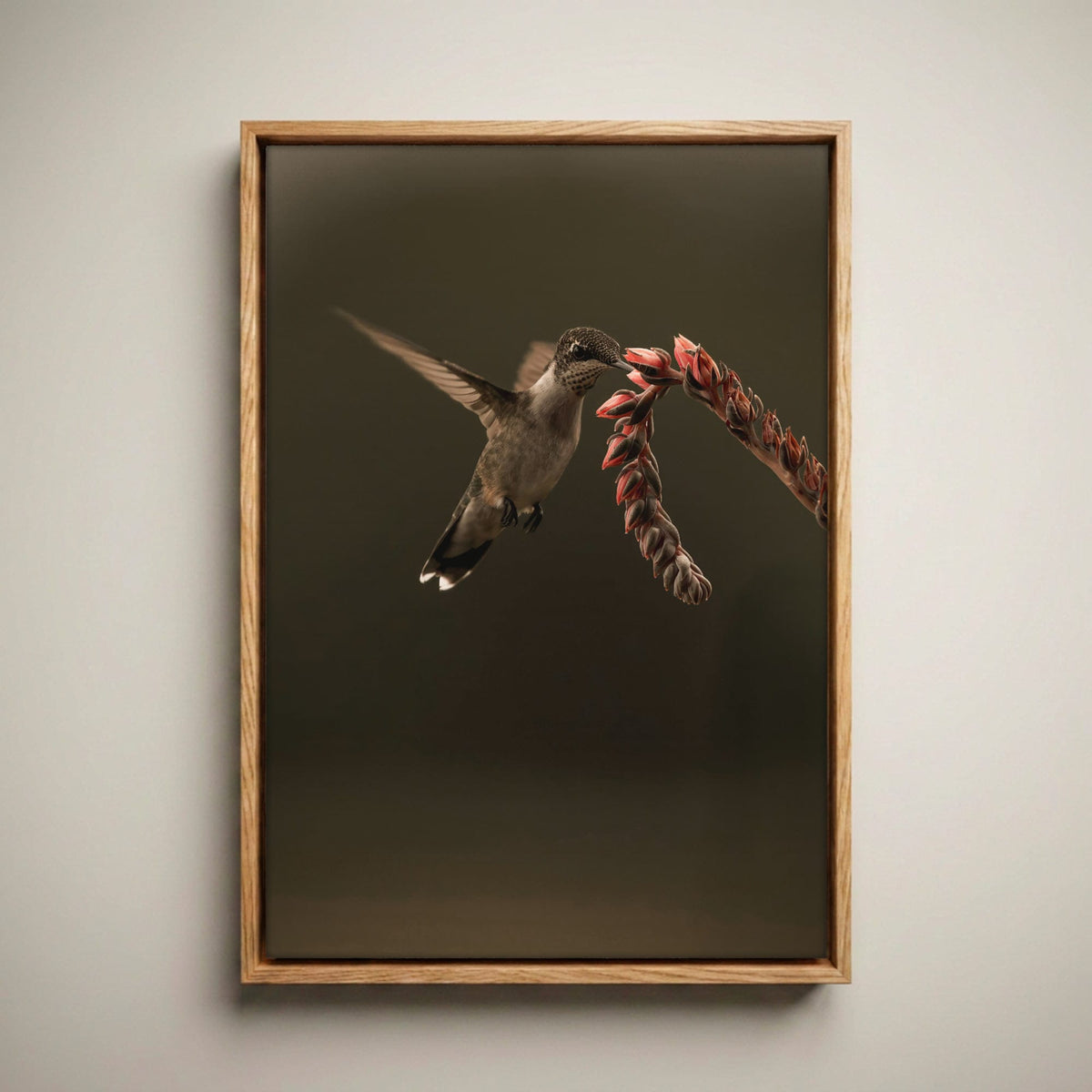 Ruby Throated Hummingbird Artwork Canvas-Natural Oak Float Frame / 12 x 18 Inches