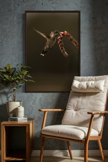 Ruby Throated Hummingbird Artwork Wall Art Teri James Photography