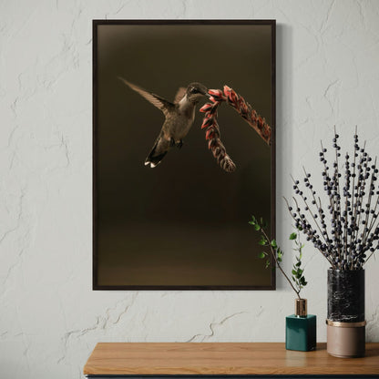 Ruby Throated Hummingbird Artwork Wall Art Teri James Photography