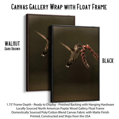 Ruby Throated Hummingbird Artwork Canvas-Black Frame / 12 x 18 Inches Wall Art Teri James Photography