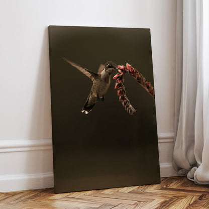 Ruby Throated Hummingbird Artwork Canvas-Unframed / 12 x 18 Inches Wall Art Teri James Photography