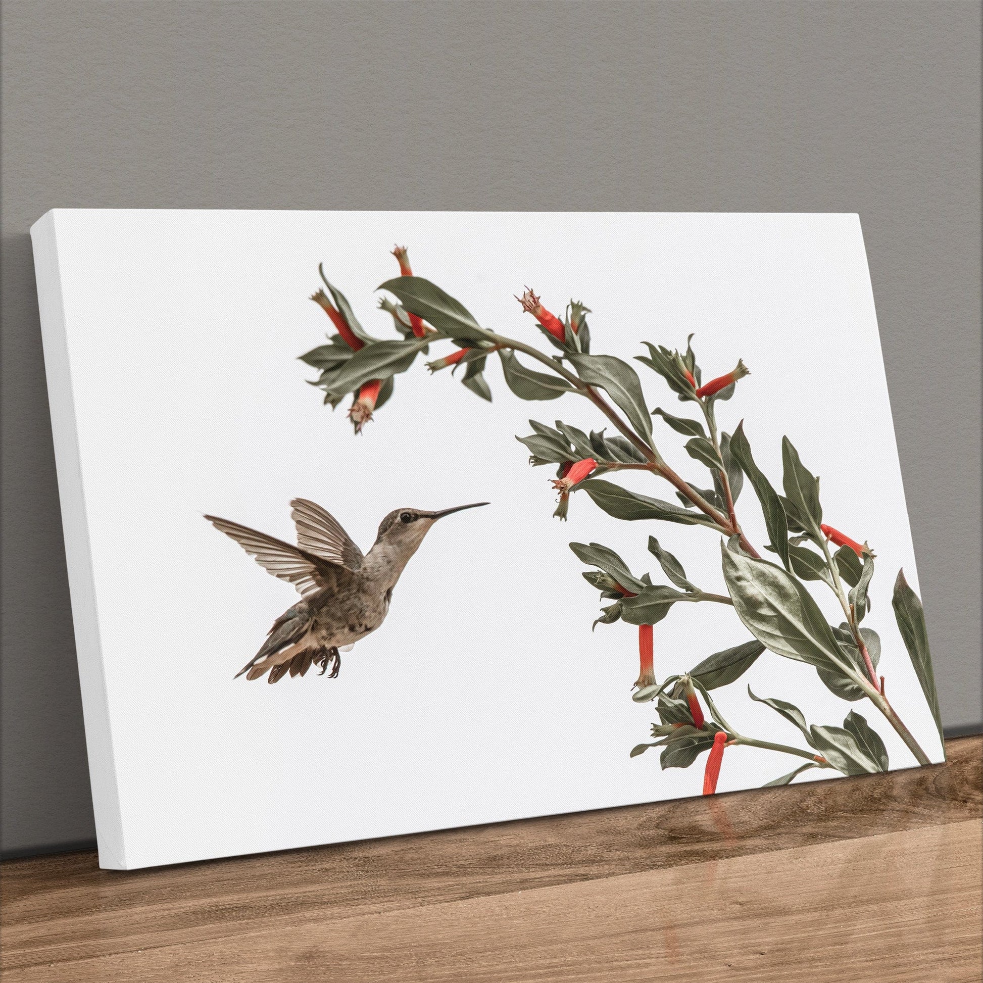 Ruby Throated Hummingbird Wall Art Teri James Photography