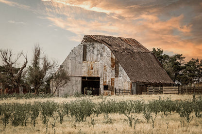 Rustic Barn Wall Art - Large Farm Landscape Canvas - Country Home Decor Paper Photo Print / 12 x 18 Inches Wall Art Teri James Photography