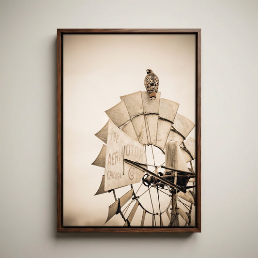 Rustic Farmhouse Wall Decor - Old Windmill and Hawk