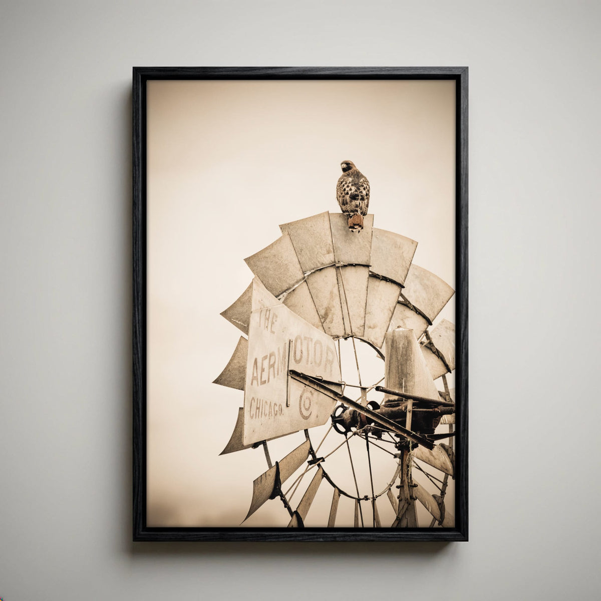Rustic Farmhouse Wall Decor - Old Windmill and Hawk