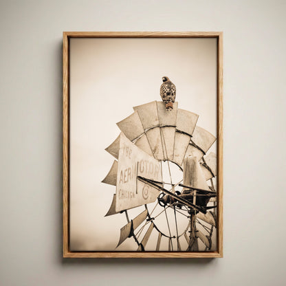 Rustic Farmhouse Wall Decor - Old Windmill and Hawk Canvas-Natural Oak Float Frame / 12 x 18 Inches