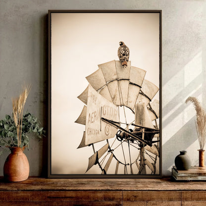 Rustic Farmhouse Wall Decor - Old Windmill and Hawk Wall Art Teri James Photography