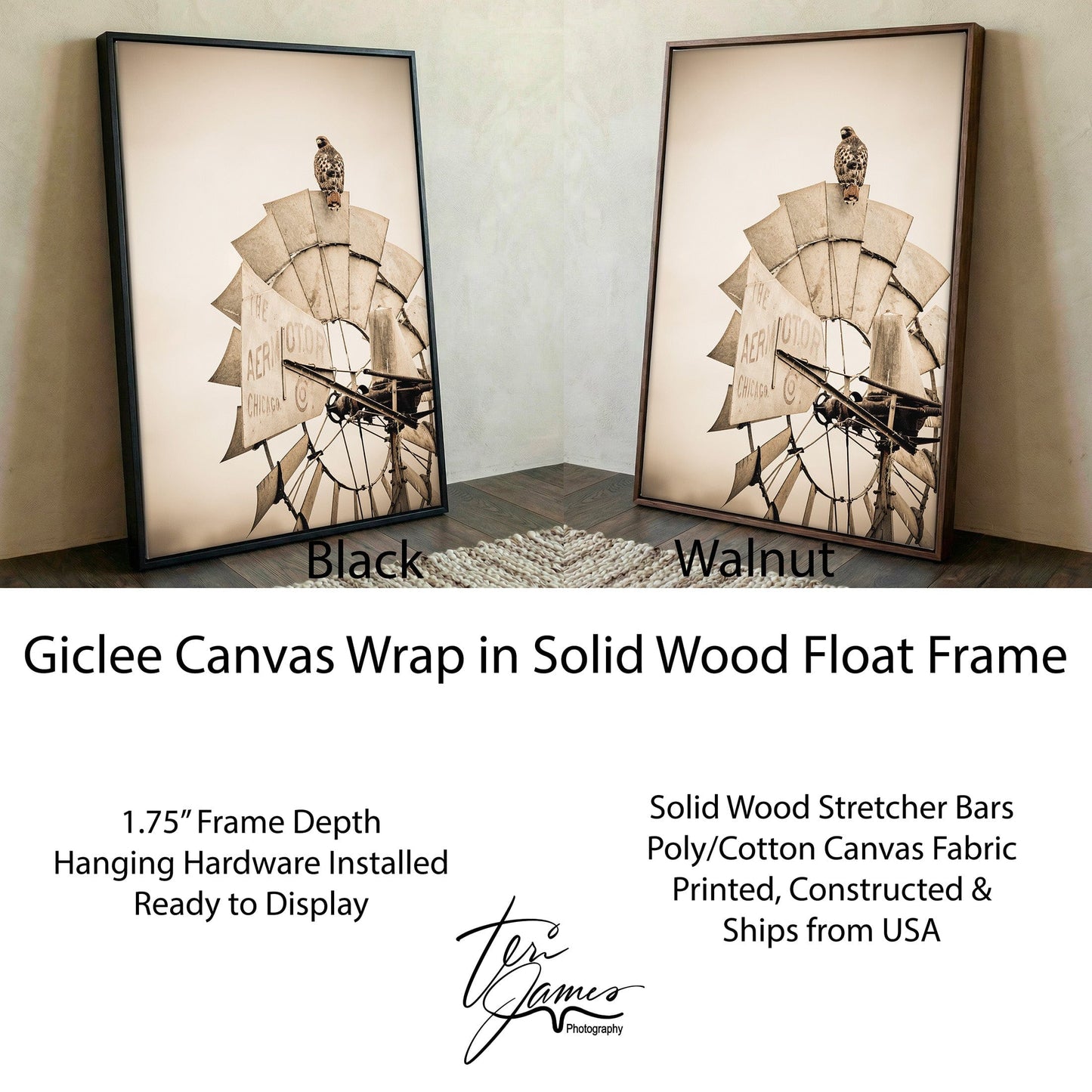 Rustic Farmhouse Wall Decor - Old Windmill and Hawk Canvas-Black Frame / 12 x 18 Inches Wall Art Teri James Photography