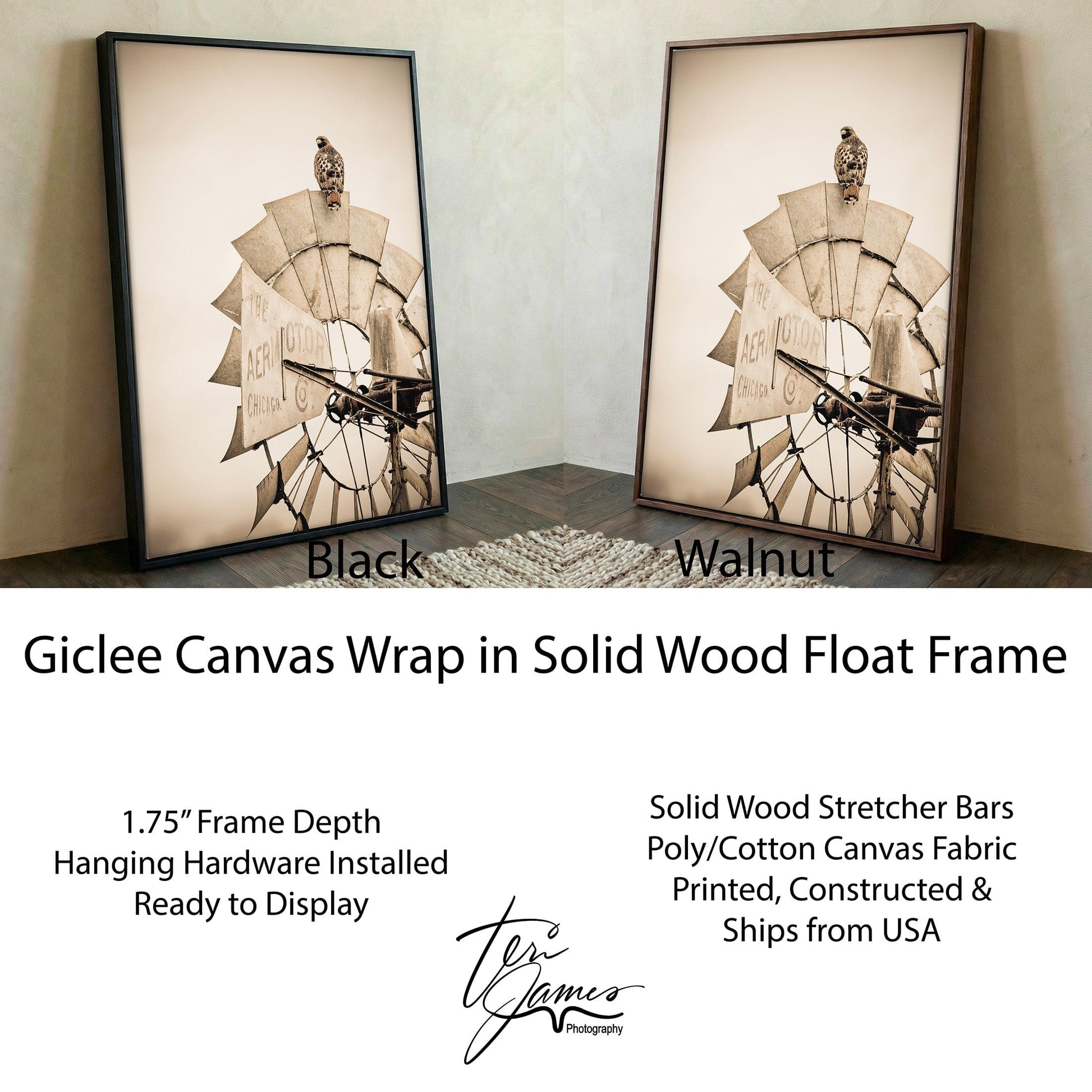 Rustic Farmhouse Wall Decor - Old Windmill and Hawk Canvas-Black Frame / 12 x 18 Inches Wall Art Teri James Photography