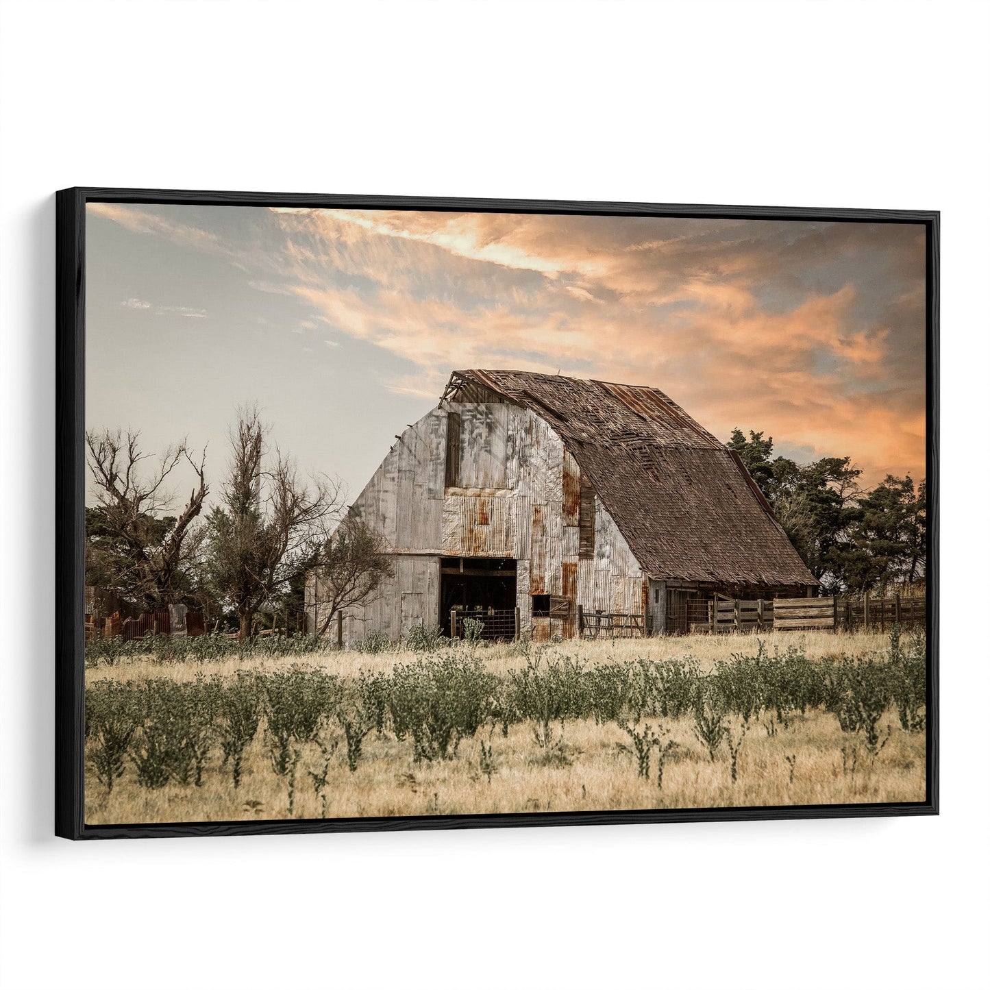 Rustic Old Barn Canvas Print Canvas-Black Frame / 12 x 18 Inches Wall Art Teri James Photography