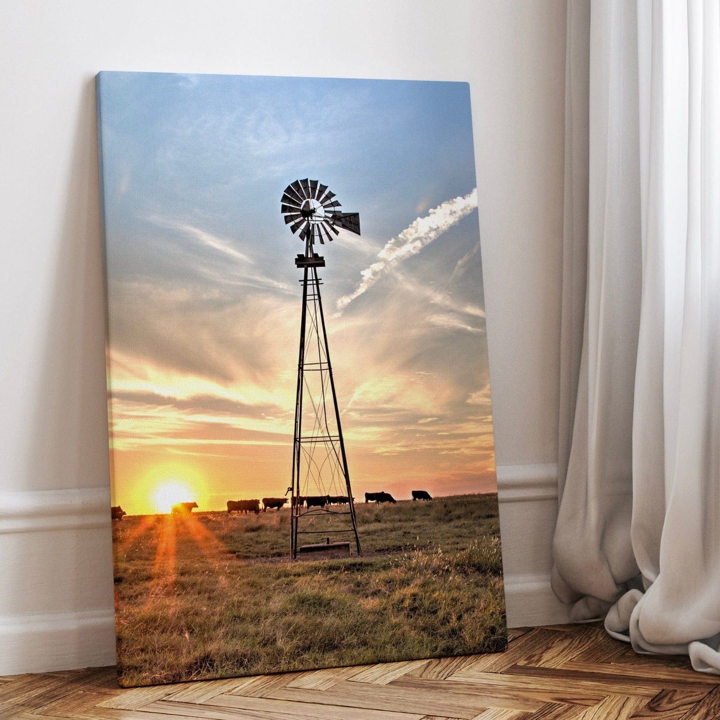 Rustic Old Windmill and Black Angus Cows Wall Art Canvas-Unframed / 12 x 18 Inches Wall Art Teri James Photography