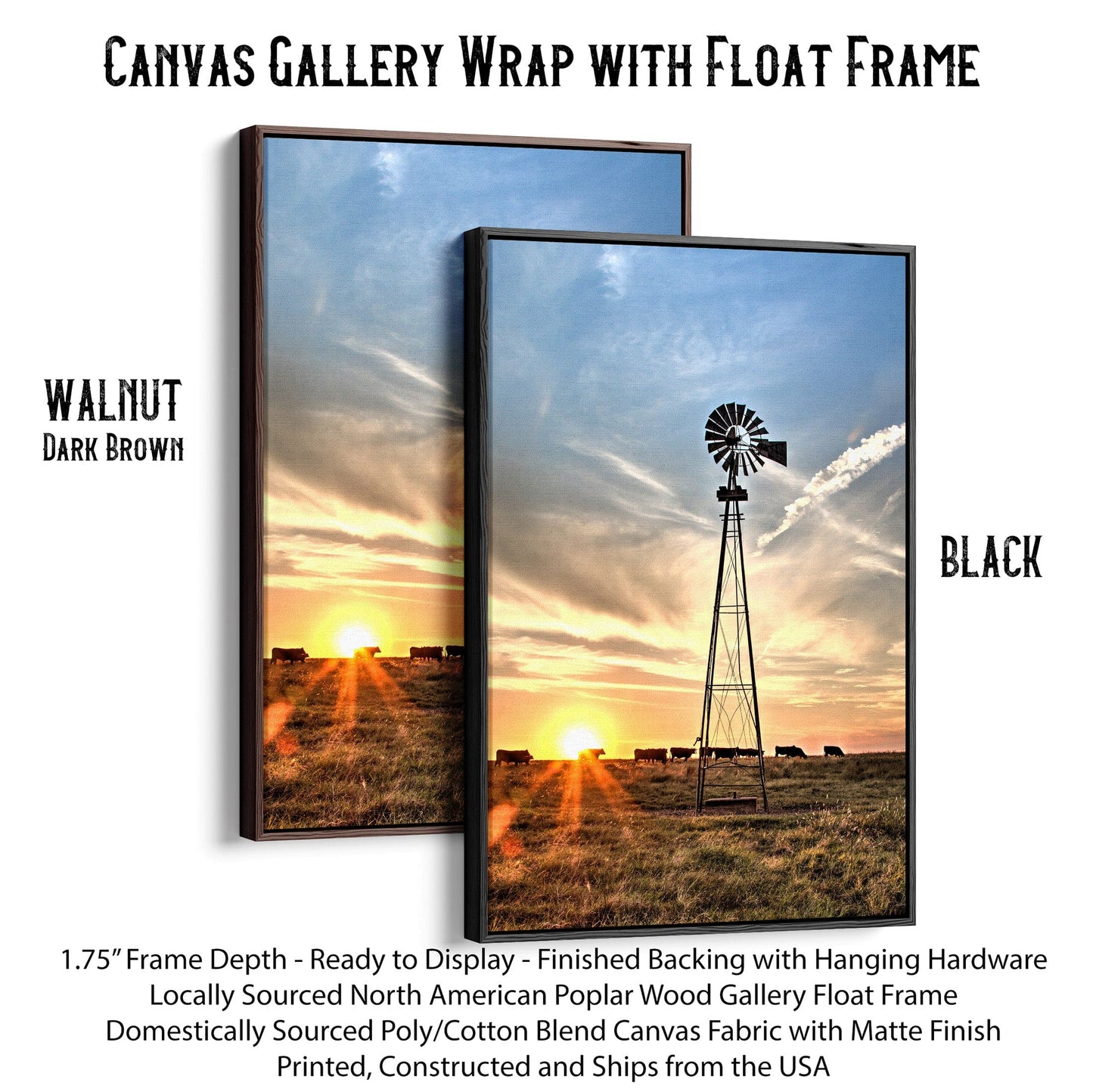 Rustic Old Windmill and Black Angus Cows Wall Art Canvas-Black Frame / 12 x 18 Inches Wall Art Teri James Photography