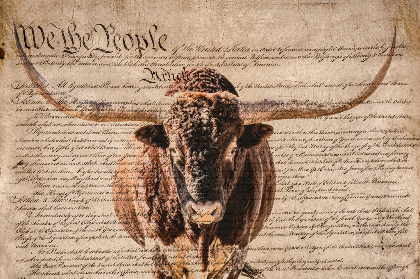 Rustic Patriotic Wall Art - Longhorn & U.S. Constitution Mounted Photo Print / 12 x 18 Inches