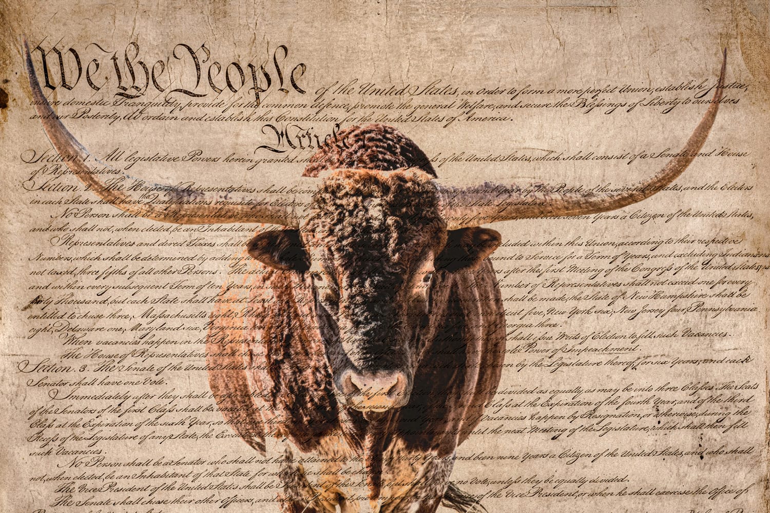 Rustic Patriotic Wall Art - Longhorn & U.S. Constitution Mounted Photo Print / 12 x 18 Inches