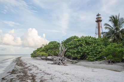 Sanibel Island Lighthouse Beach Canvas Paper Photo Print / 12 x 18 Inches Wall Art Teri James Photography