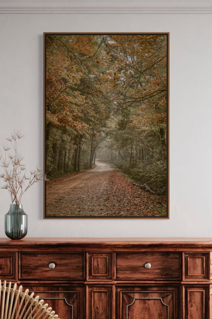 Scenic Arkansas Forest Road Wall Art Teri James Photography