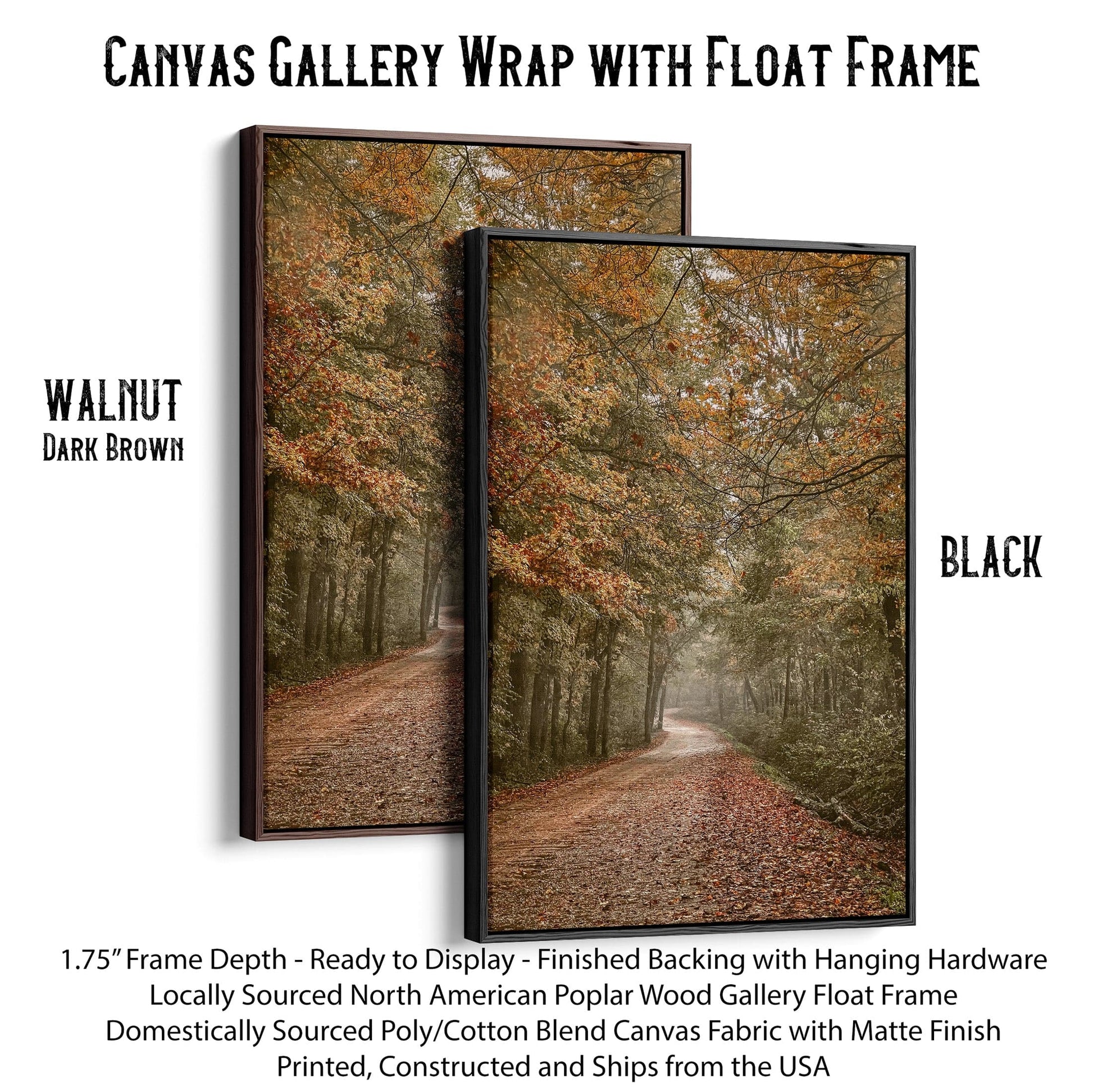 Scenic Arkansas Forest Road Canvas-Black Frame / 12 x 18 Inches Wall Art Teri James Photography