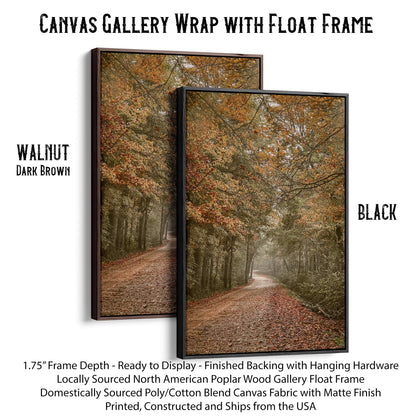 Scenic Arkansas Forest Road Canvas-Black Frame / 12 x 18 Inches Wall Art Teri James Photography