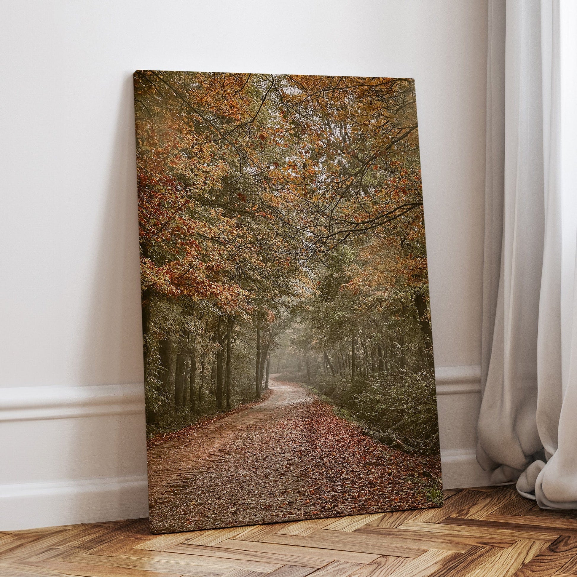 Scenic Arkansas Forest Road Canvas-Unframed / 12 x 18 Inches Wall Art Teri James Photography