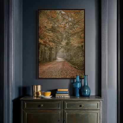 Scenic Arkansas Forest Road Wall Art Teri James Photography