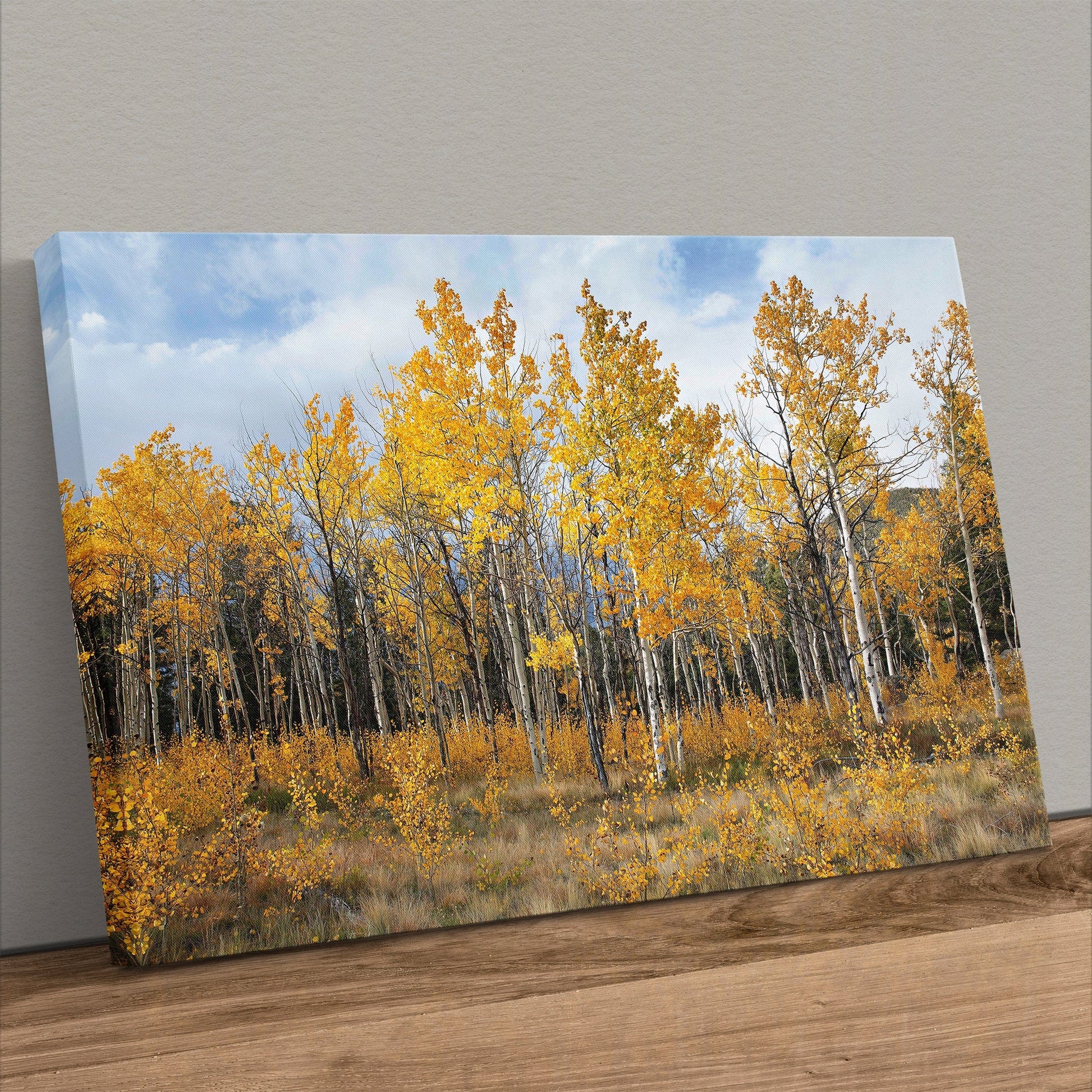 Scenic Aspen Tree Colorado Print Canvas-Unframed / 12 x 18 Inches Wall Art Teri James Photography