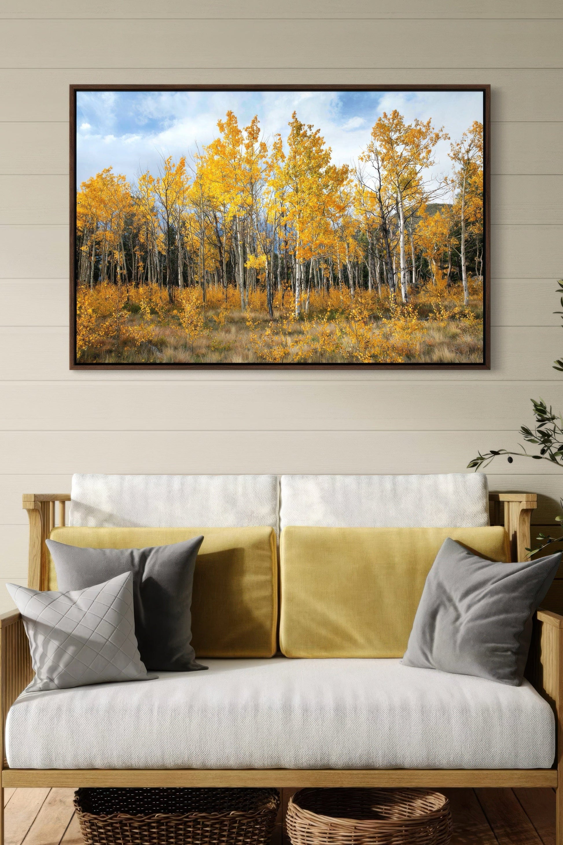 Scenic Aspen Tree Colorado Print Wall Art Teri James Photography
