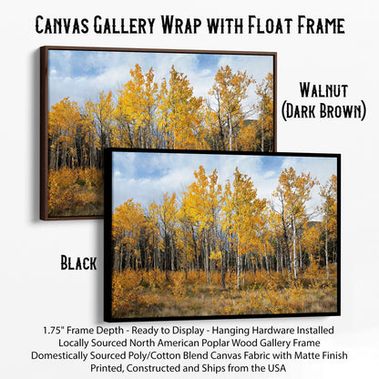 Scenic Aspen Tree Colorado Print Canvas-Black Frame / 12 x 18 Inches Wall Art Teri James Photography