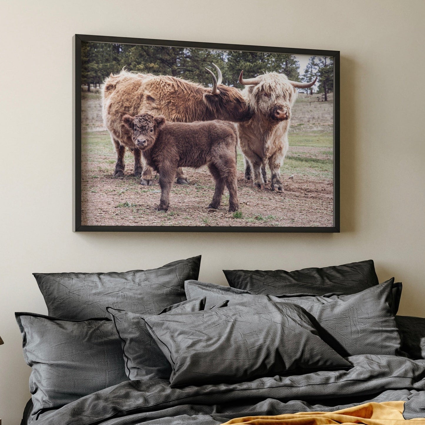 Scottish Highland Cattle Family Wall Art Teri James Photography