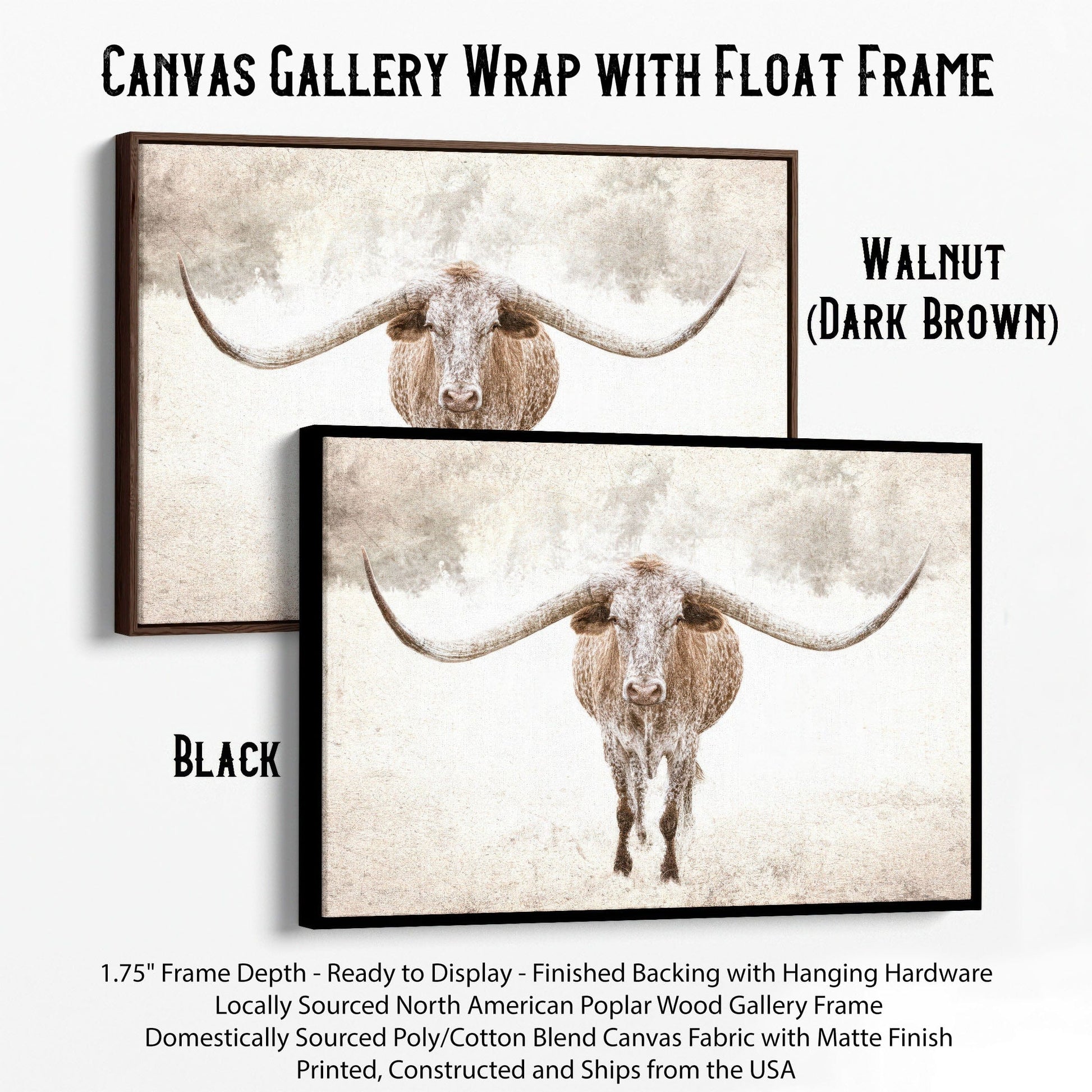 Sepia Longhorn Canvas Art Canvas-Black Frame / 12 x 18 Inches Wall Art Teri James Photography
