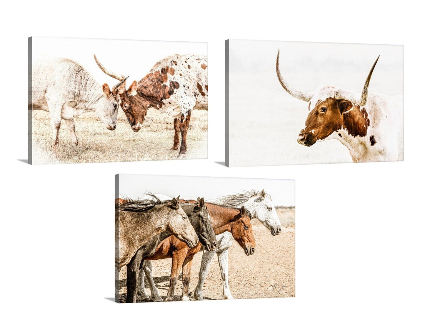 Sepia Western Art, Set of 3 Canvas-Unframed / 12 x 18 Inches Wall Art Teri James Photography