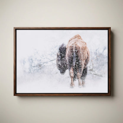 Snowy Buffalo Canvas Wall Art | Bison Print for Living Room