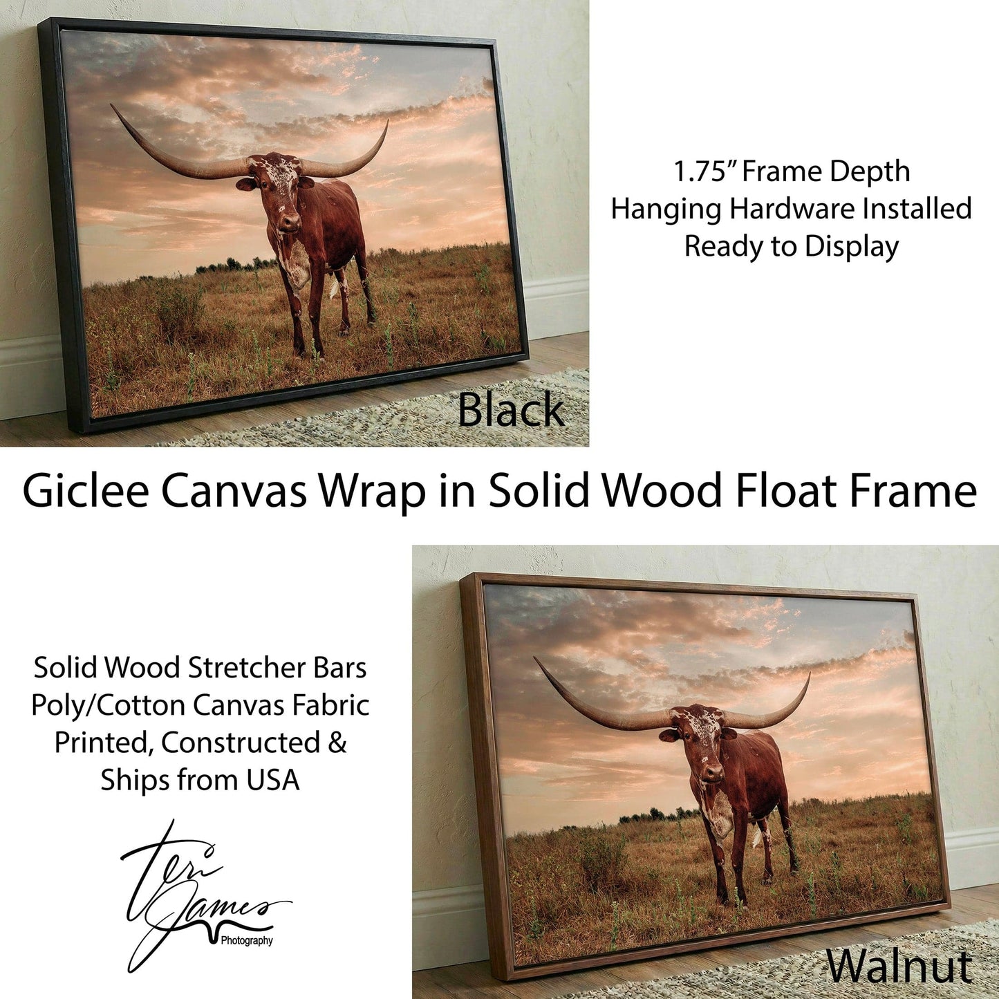 Southwest Longhorn Art - Texas Longhorn Print Rustic Canvas Decor Cowboy Home Canvas-Black Frame / 12 x 18 Inches Wall Art Teri James Photography