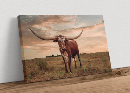 Southwest Style Longhorn Art Canvas-Unframed / 12 x 18 Inches Wall Art Teri James Photography