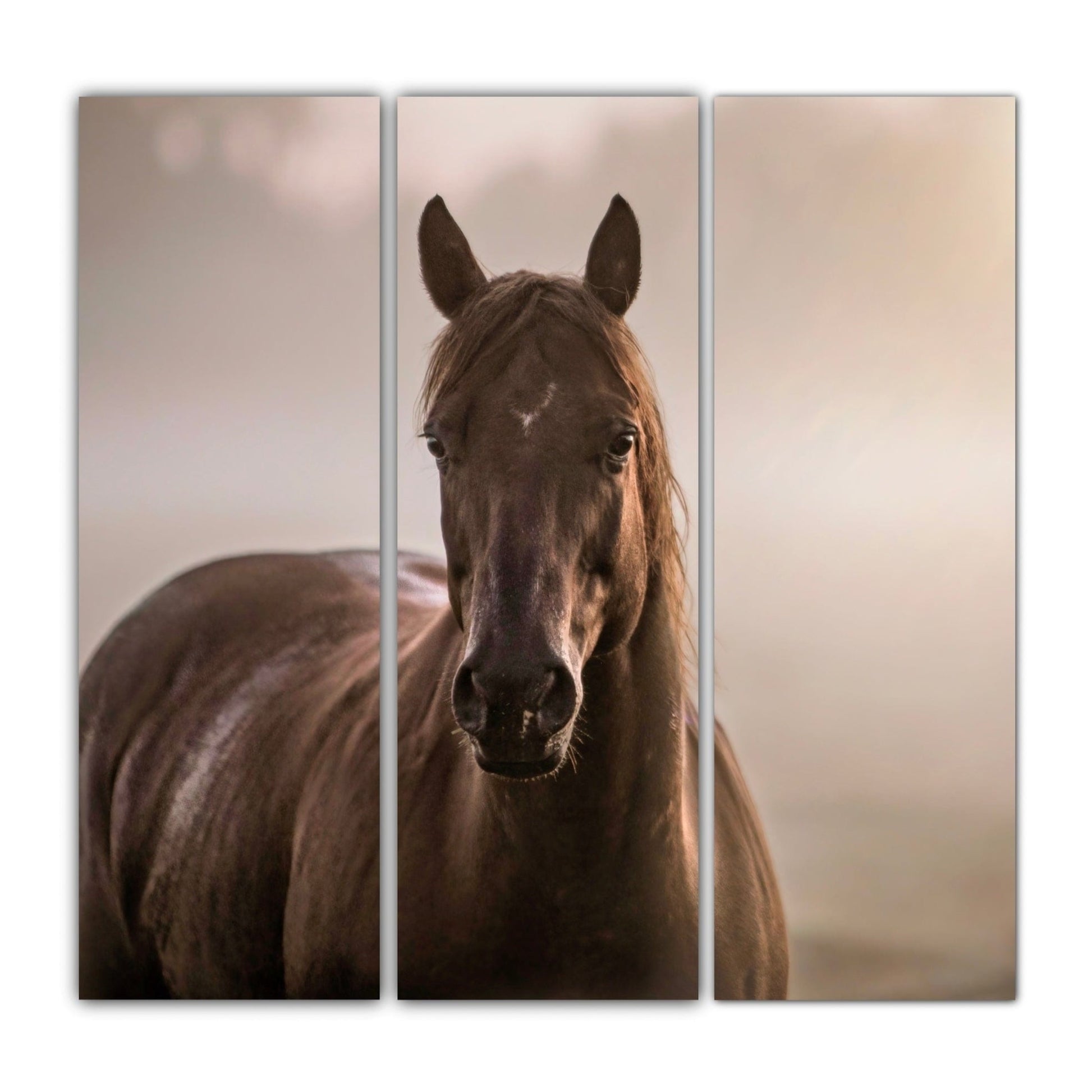 Square Horse Triptych Canvas 48" x 48" (3 @ 16" x 48") Wall Art Teri James Photography