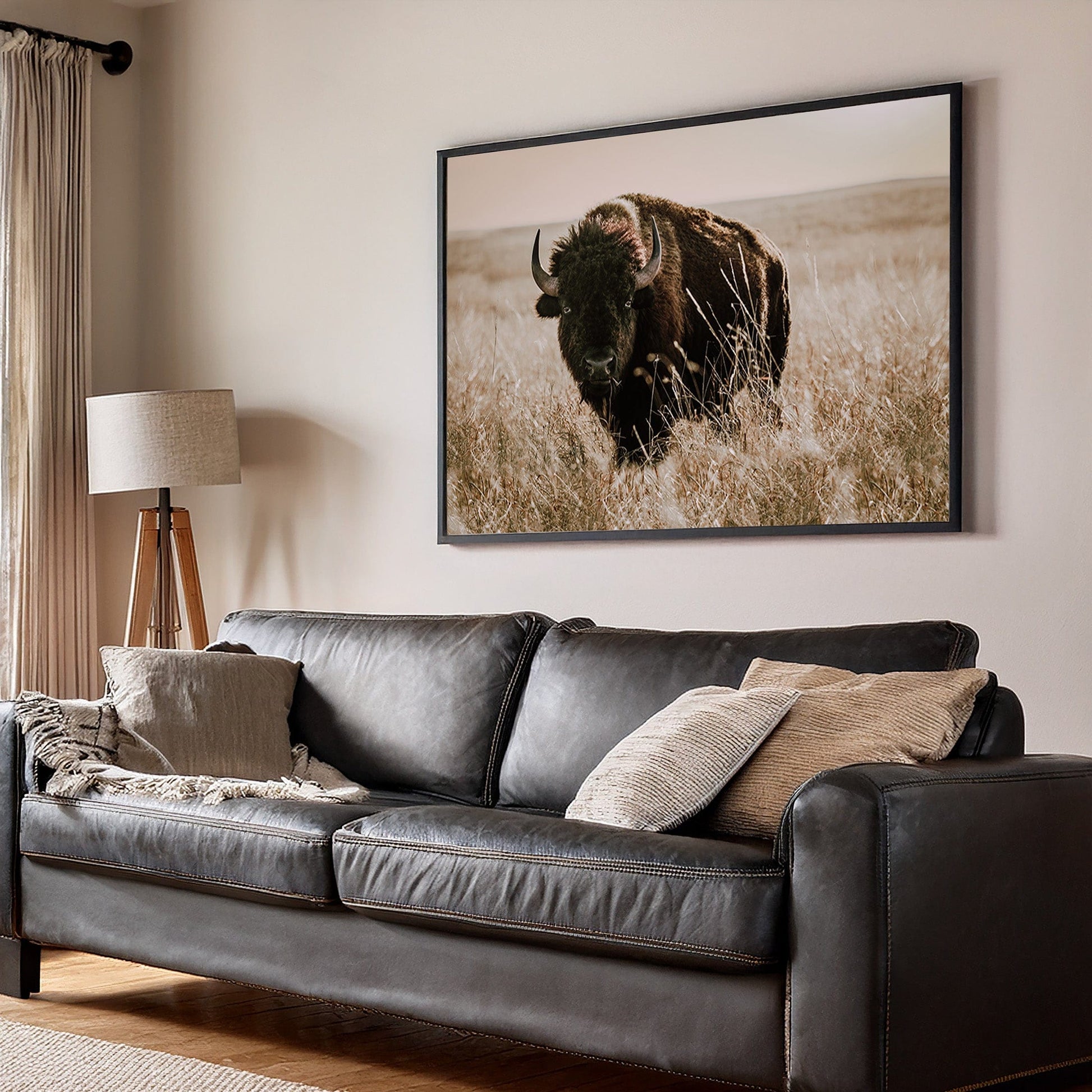 Tallgrass Prairie Bison Canvas - Buffalo Canvas Print Wall Art Teri James Photography