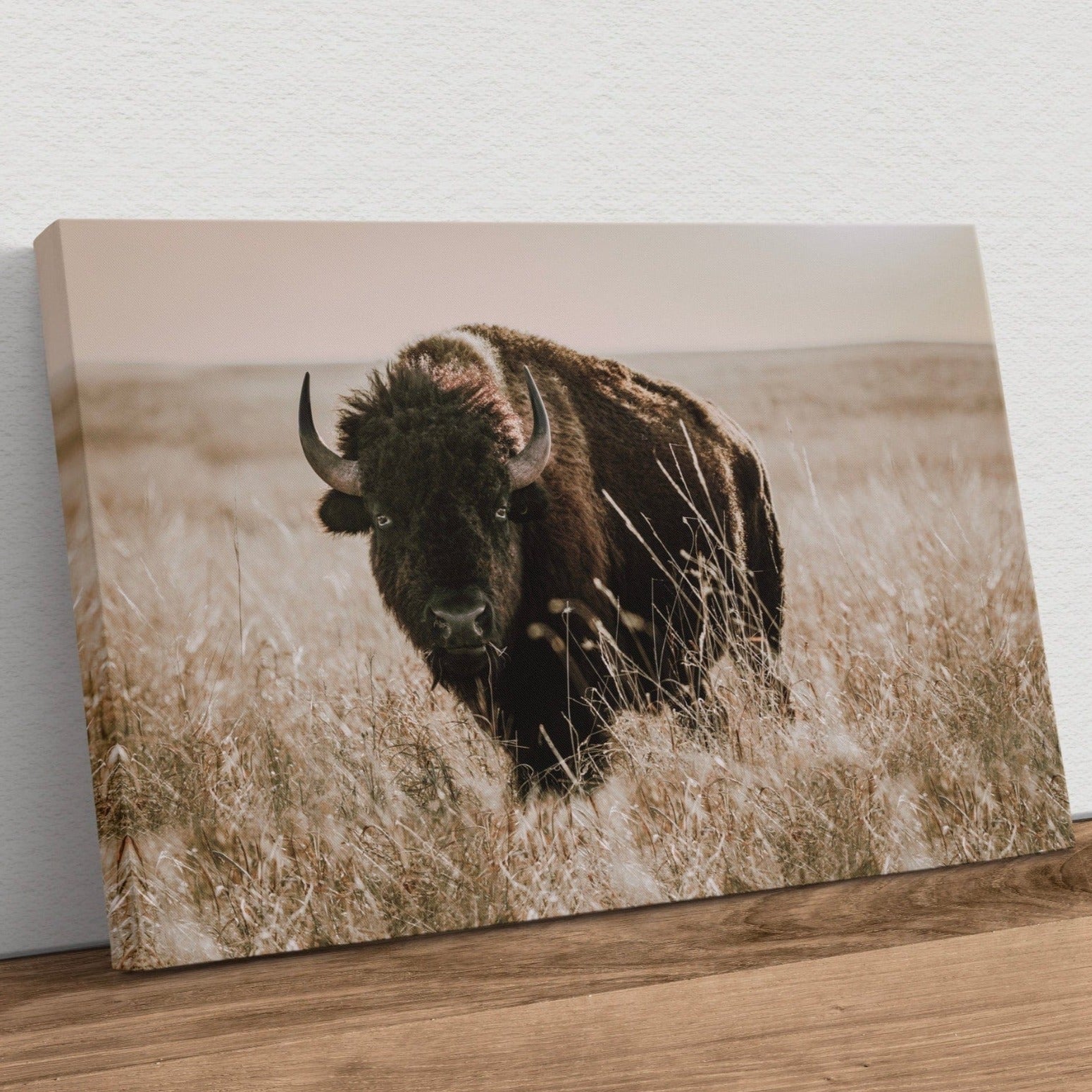 Tallgrass Prairie Bison Canvas - Buffalo Canvas Print Canvas-Unframed / 12 x 18 Inches Wall Art Teri James Photography